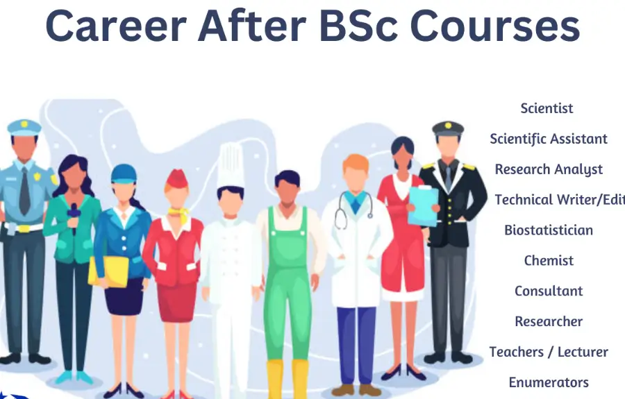 Career Options After BSc - Jobs, Higher Studies & Government Exams